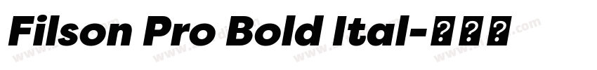 Filson Pro Bold Ital字体转换